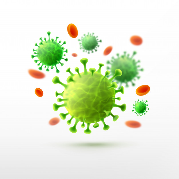 Антитела к коронавирусу, IgM и IgG