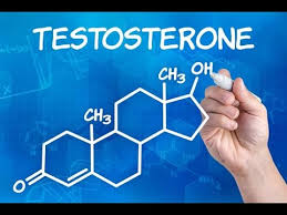 Тестостерон свободный